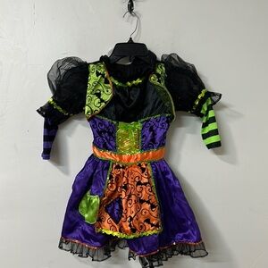 California Costumes Purple and Green Witch Halloween Costume